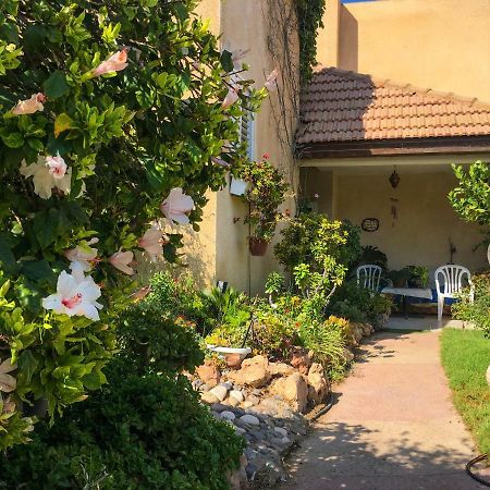 Rio Desert View Apartment アラド エクステリア 写真